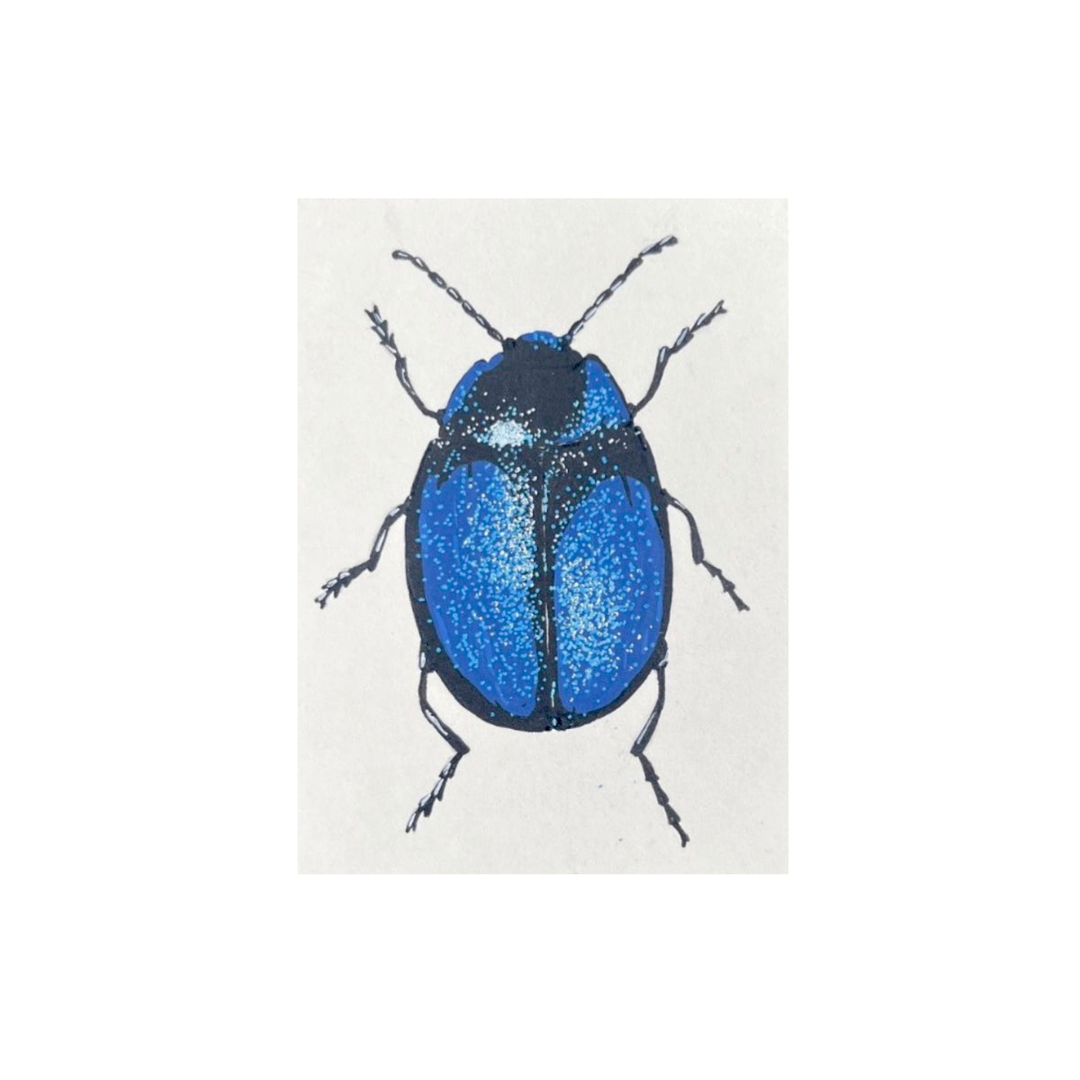 ACEO Specimen #03