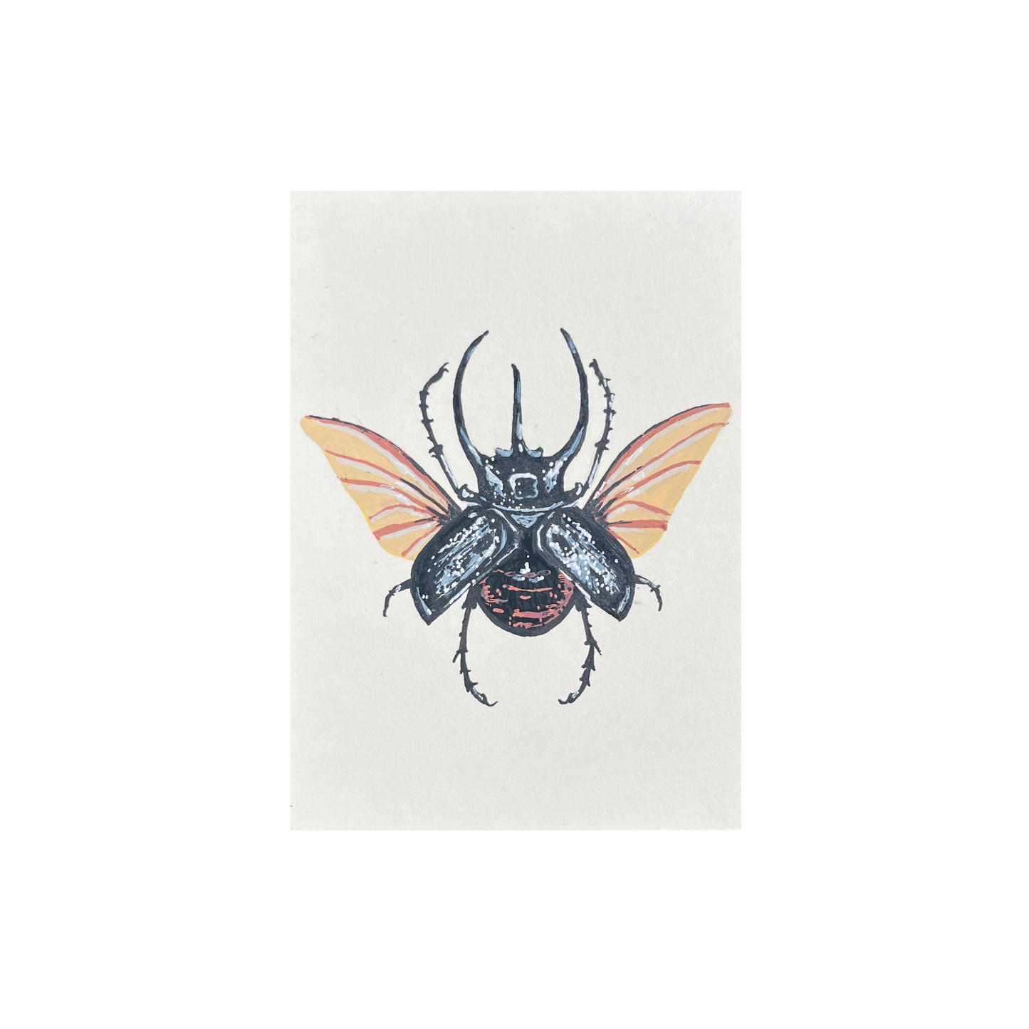 ACEO Specimen #02