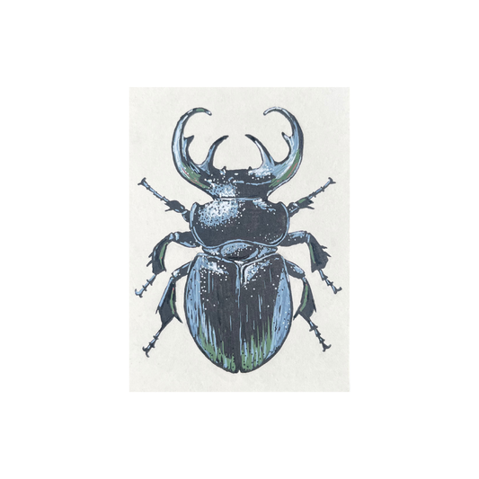 ACEO Specimen #01