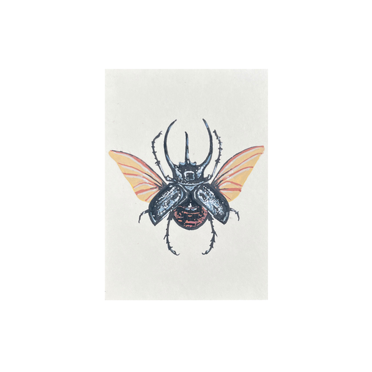 ACEO Specimen #02